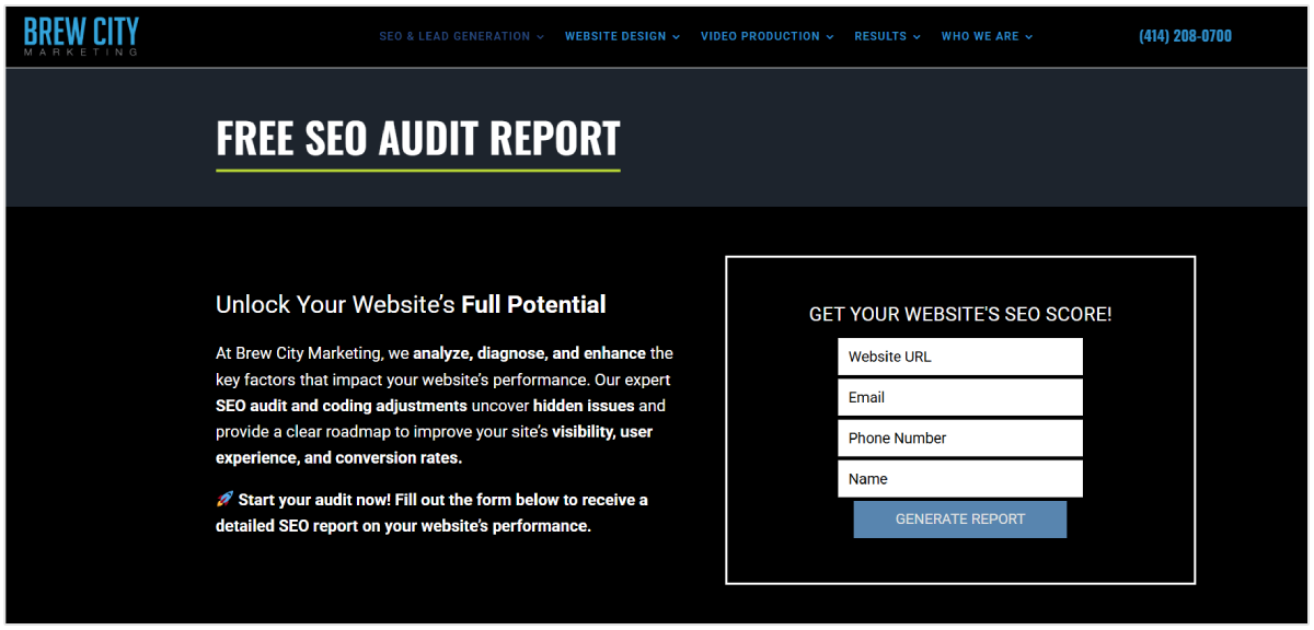 Website audit form example
